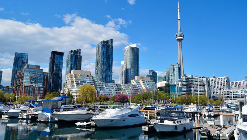 Toronto NBA wyjazdy na koszykówkę | BP Gryf